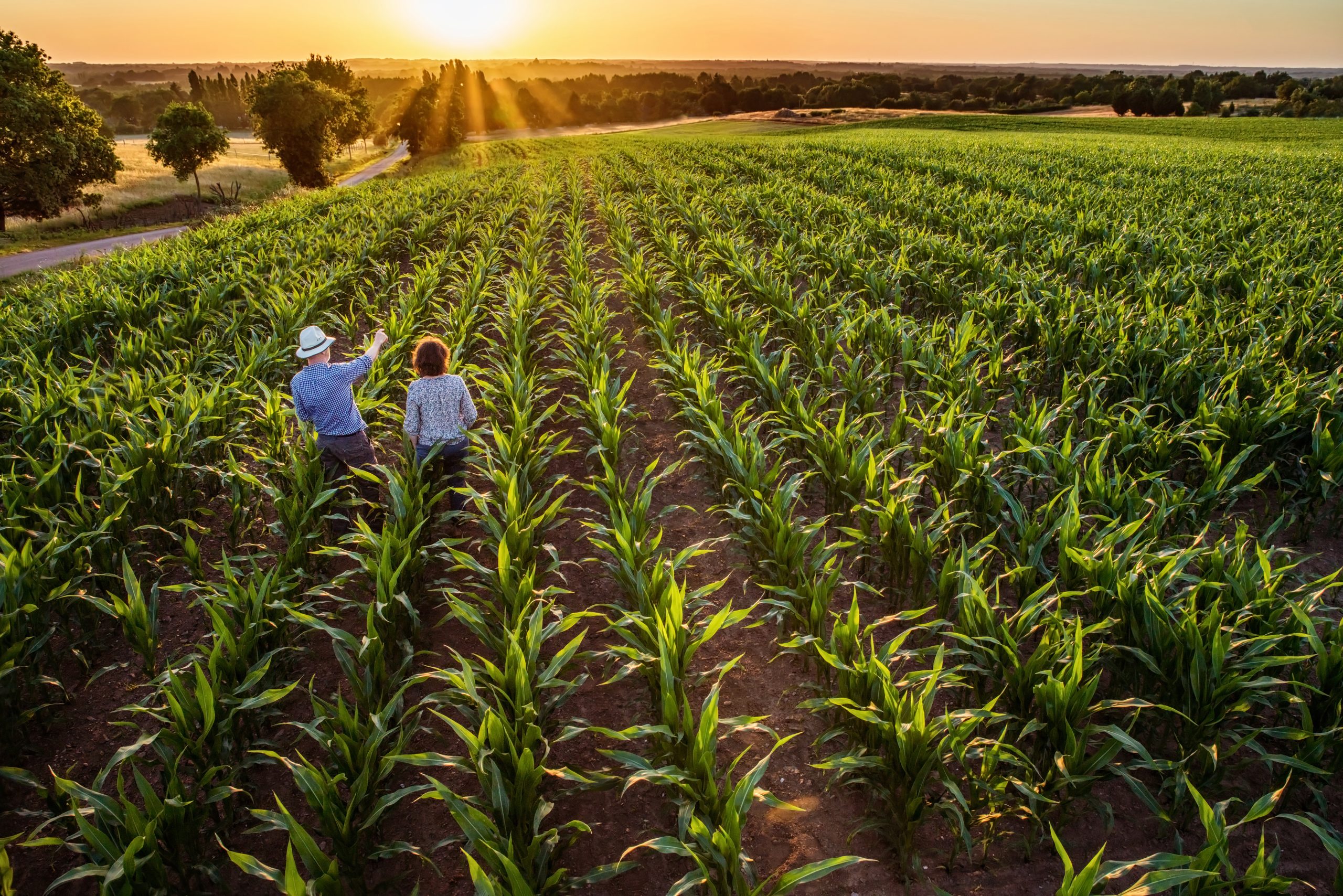 Agro em 2023. Homem e mulher conversando em meio a uma plantação.